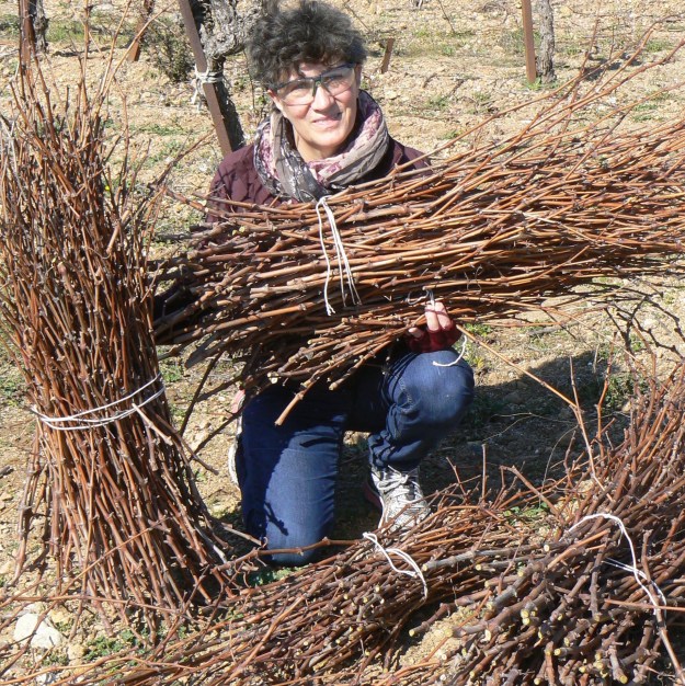 Gathering sarments is the first step